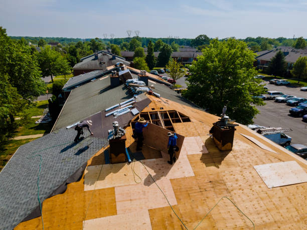 24/7 Emergency Metal Roofing experts in Newport, MI